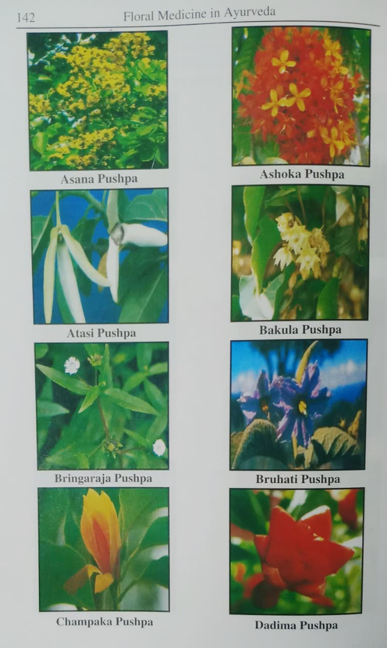 Thumbnail: Floral Medicine in Ayurveda (E) by  Dr. Arhanth Kumar A., Dr. Shreevathsa