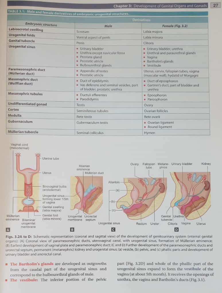 Thumbnail: DC Dutta's Textbook of  Gynecology (E) by Hiralal Konar