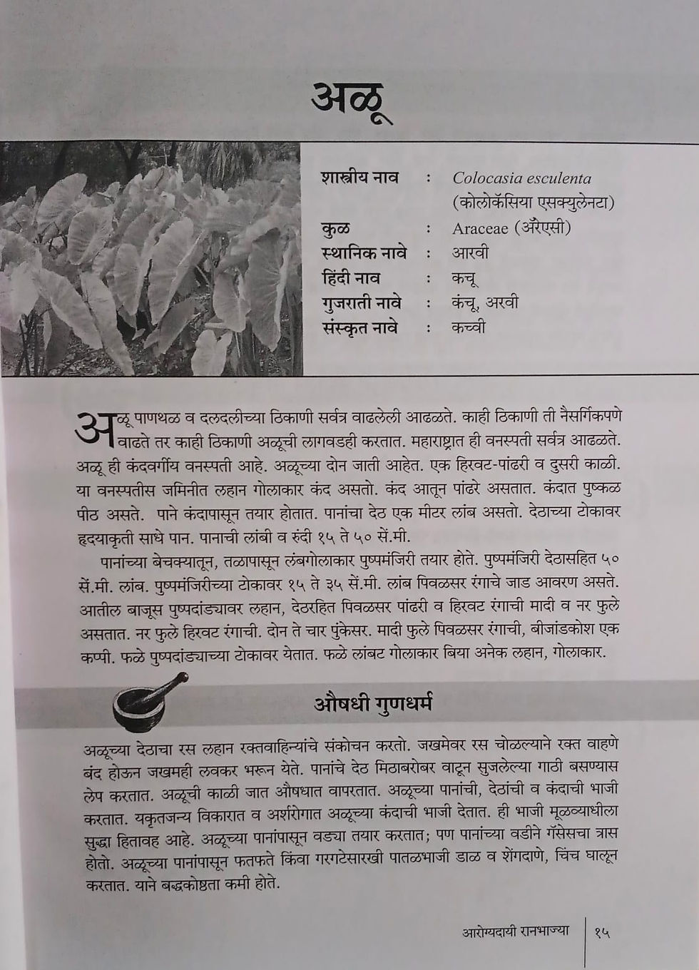 Thumbnail: Arogyadayi Ranbhajya by Dr. Madhukar Bachulkar
