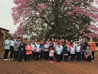 2017年度 運動会 UNDOUKAI
