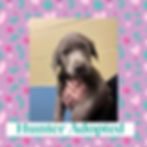 Hunter adopted