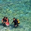 Ladys Mile Beach open water diving