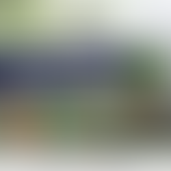 O que deve mexer com as expectativas econômicas na próxima semana