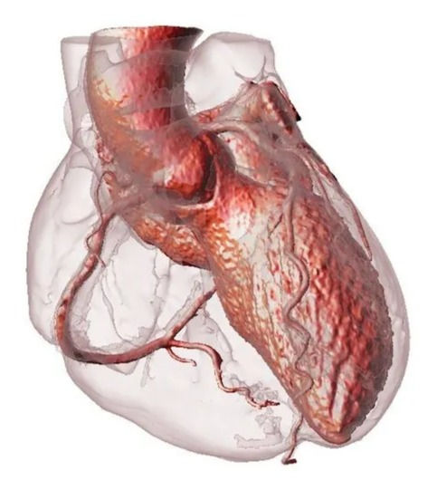 The future of 3D printing in medicine: developing new medical devices and surgical techniques