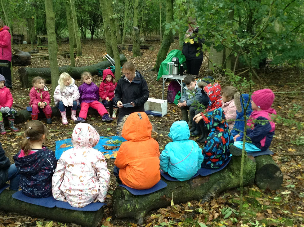 Forest School