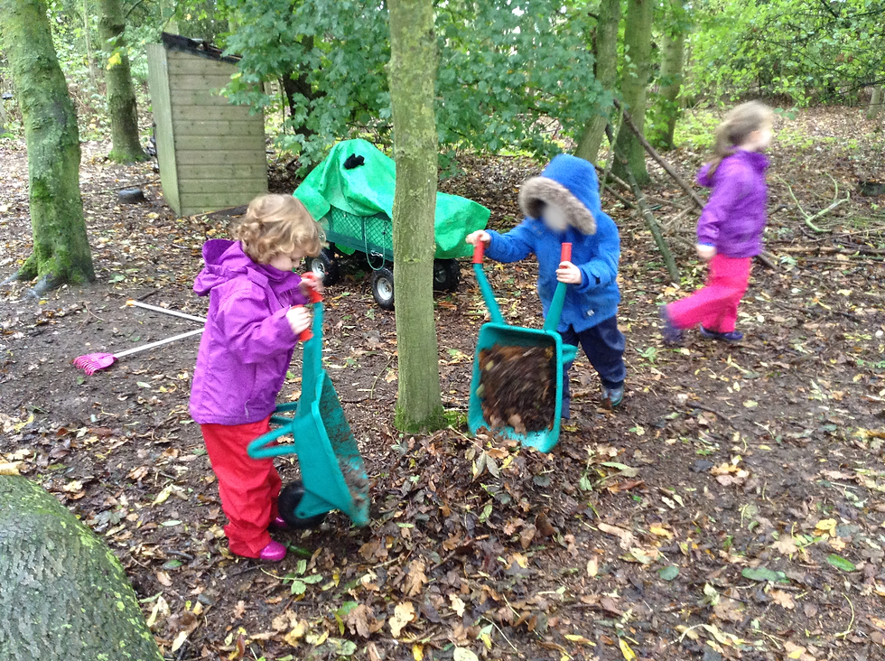Raking the leaves at Forest School