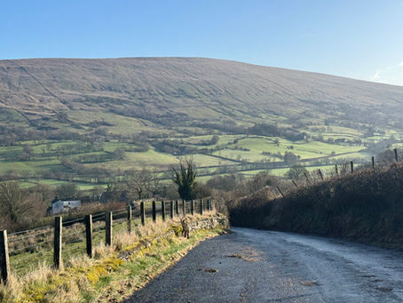 2026's Dent-ish Appointment