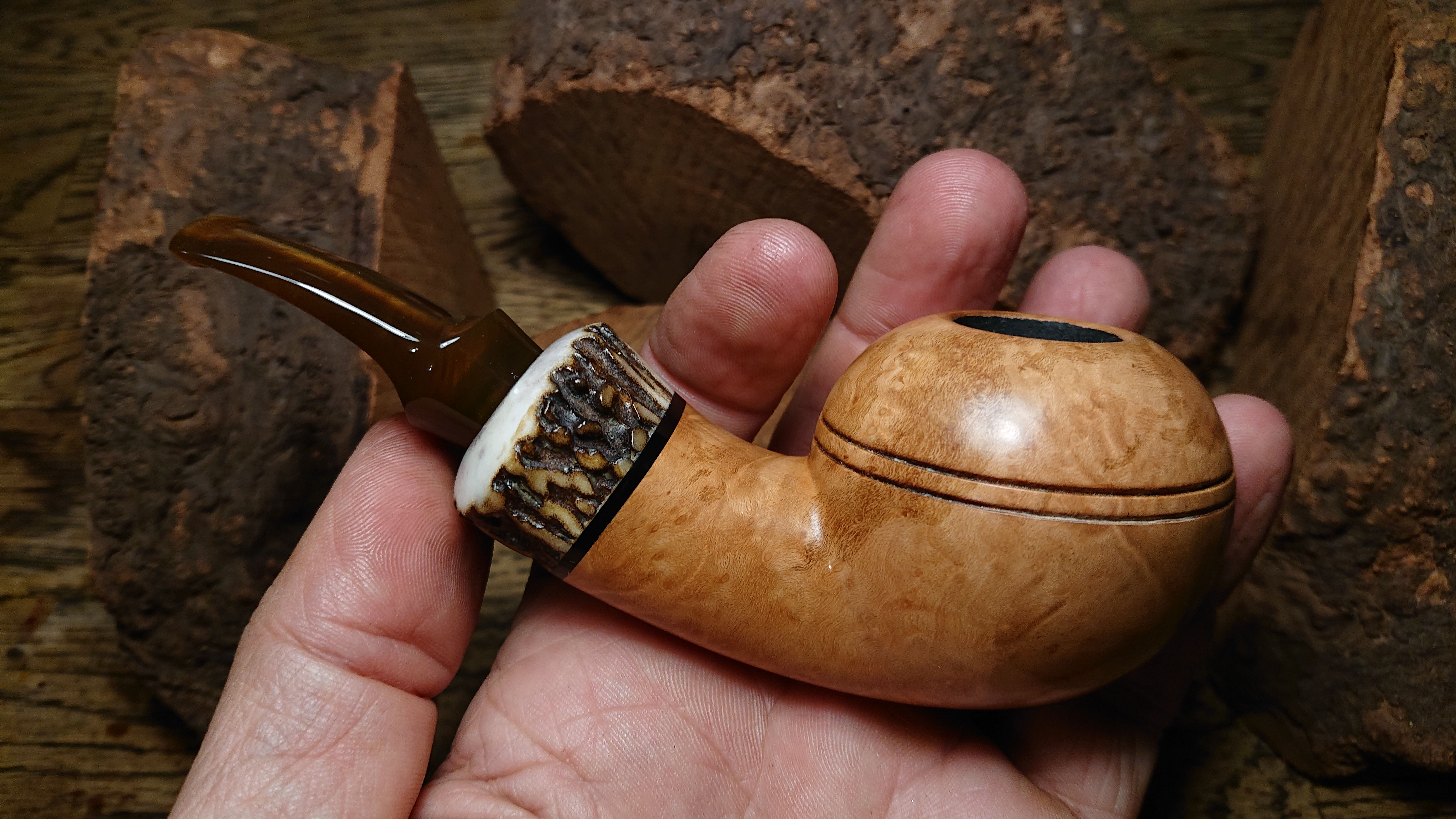 Chubby Halfbent Rhodesian Strawberry Tree Wood Arbutus Pipe with Stag Horn Band