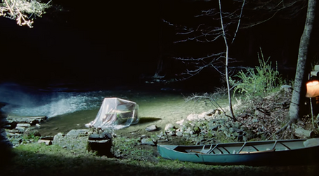 Screen Shot 2026-02-05 at 1.53.44 PM.png