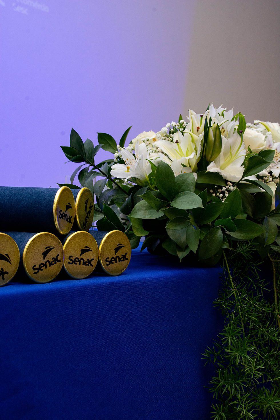 Miniatura: Formatura