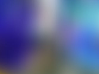 Würden Sie sich für den folgenden Job bewerben? GESUCHT: FREISCHAFFENDE KÜNSTLERIN