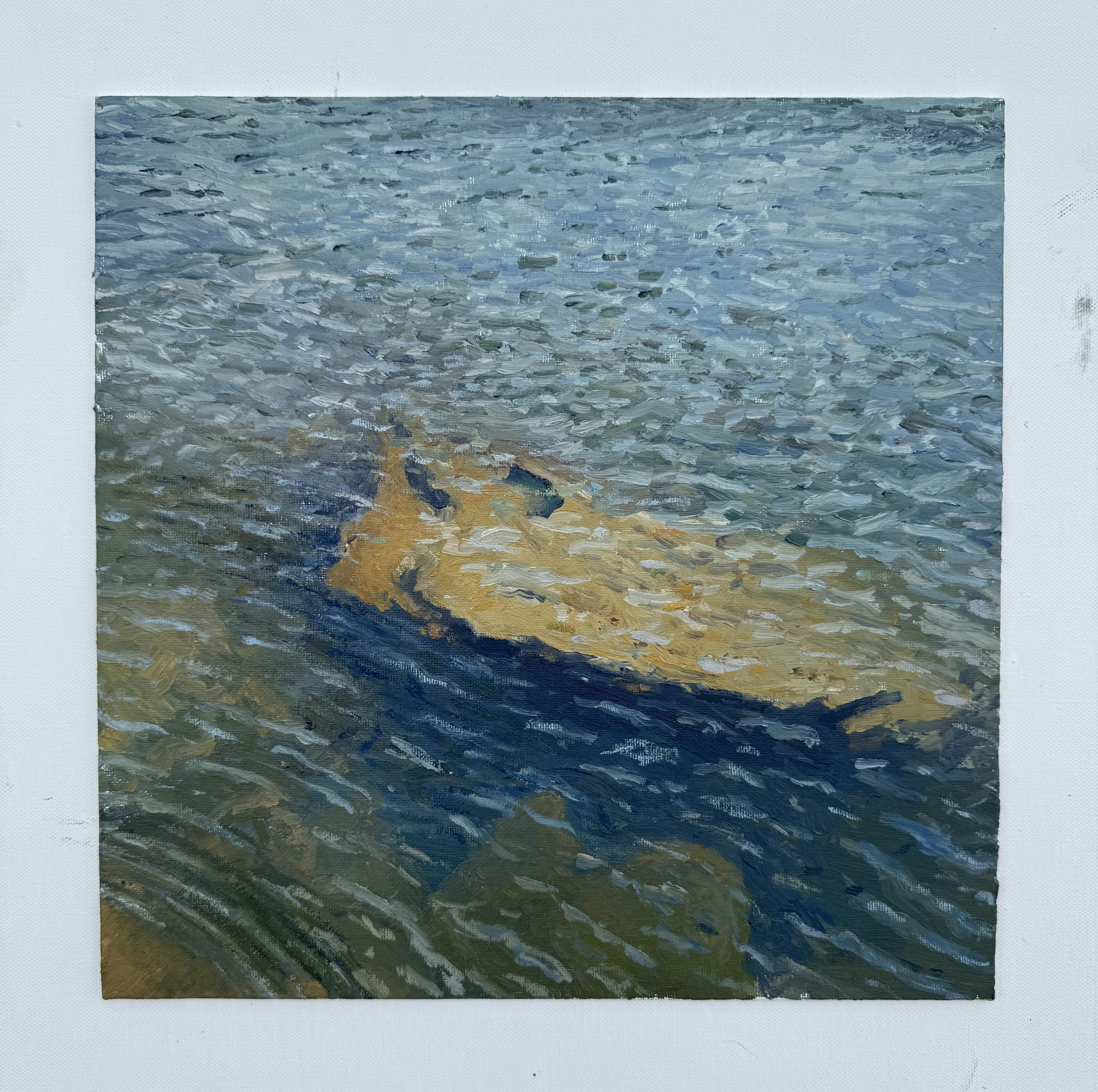 Submerged Rock in Percy Priest 12 x 12