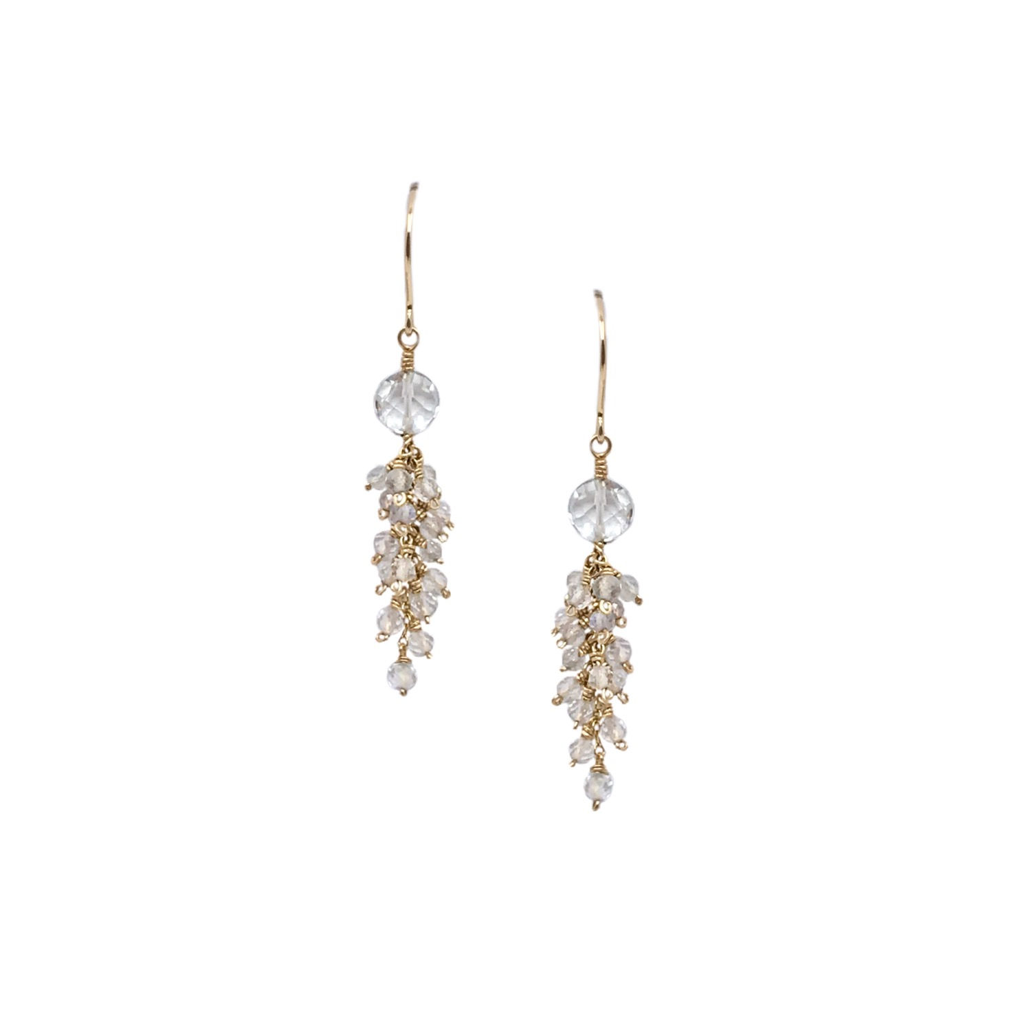 Twig Earrings - Praisiolite