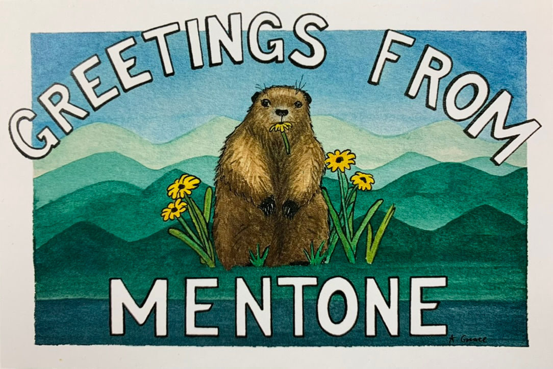Mentone Groundhog Postcard