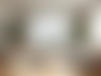 The Impact of Professional Photography on Home Selling Success