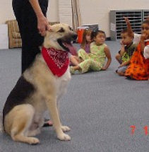 Baytown Humane Society