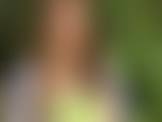 This Summer's Dessert