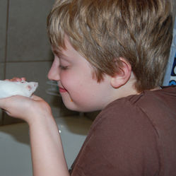 Alas, poor Snowball, we hardly knew ye...