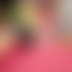 Le Touquet jeu et Rucher-école