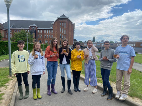 Fête du Miel 🍯top départ !