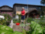 Im Garten