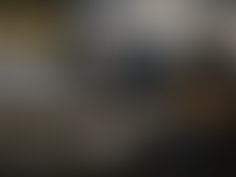 Timmy the Whale, Bureaucracy, and the Art of Watching Something Die