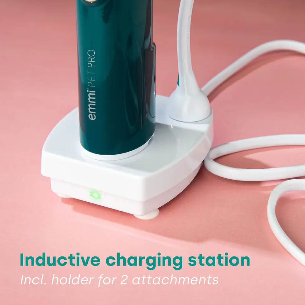 Miniature : emmi®-pet PRO  Starter Set - Tartar & Skin Bundle Offer