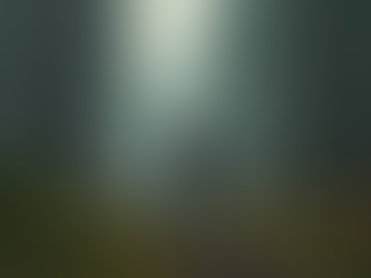 The Principles of Ethical Hunting: A Personal Journey