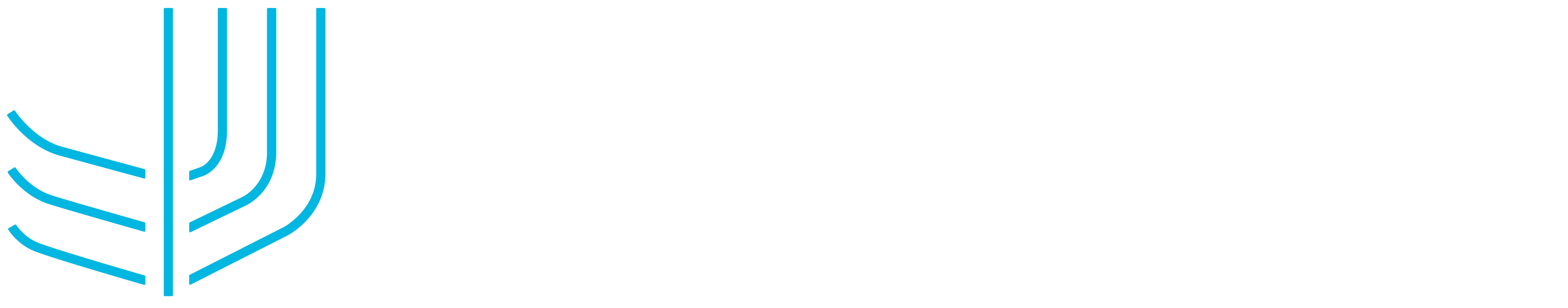 FairSmart Logo