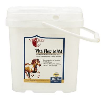 MSM – A Basic Essential Nutrient For Horses You Need To Know About