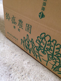 出荷箱パッケージ