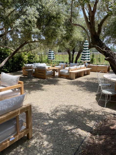 Seating Area under Olives