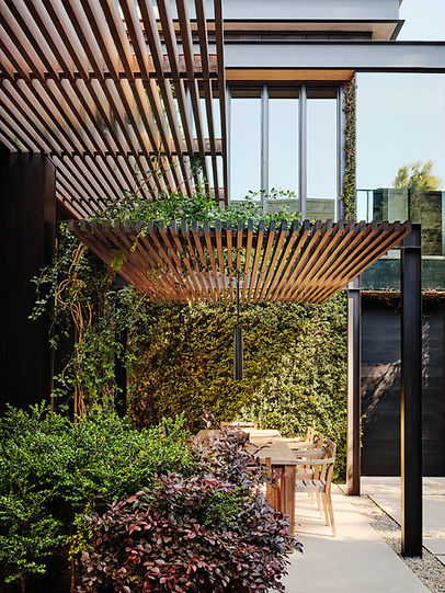 Trellis with Loropetalum in foreground