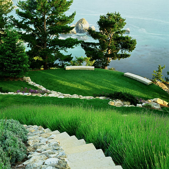 View down on Ocean with Lavender and lawn