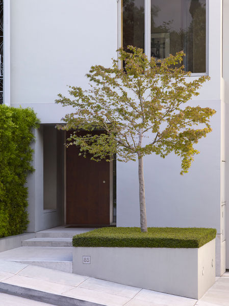 Clipped Mattress Vine Planter