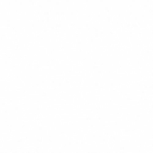 IMG_6257.GIF