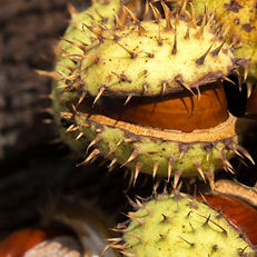 paintbyyou_bulletpoint_img (3).jpg