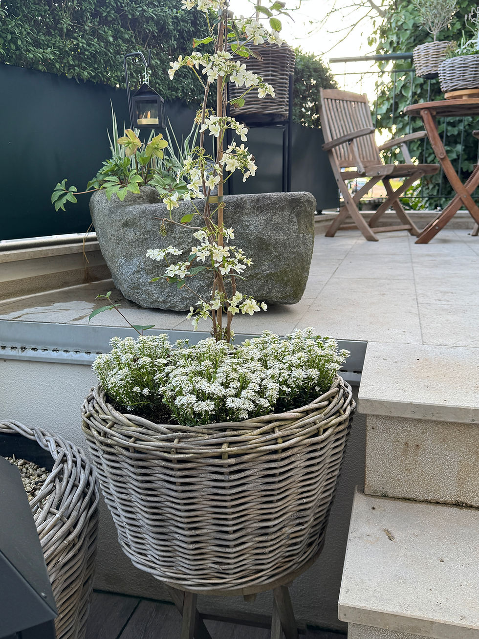 Drypot Rattan "Perfect Love"