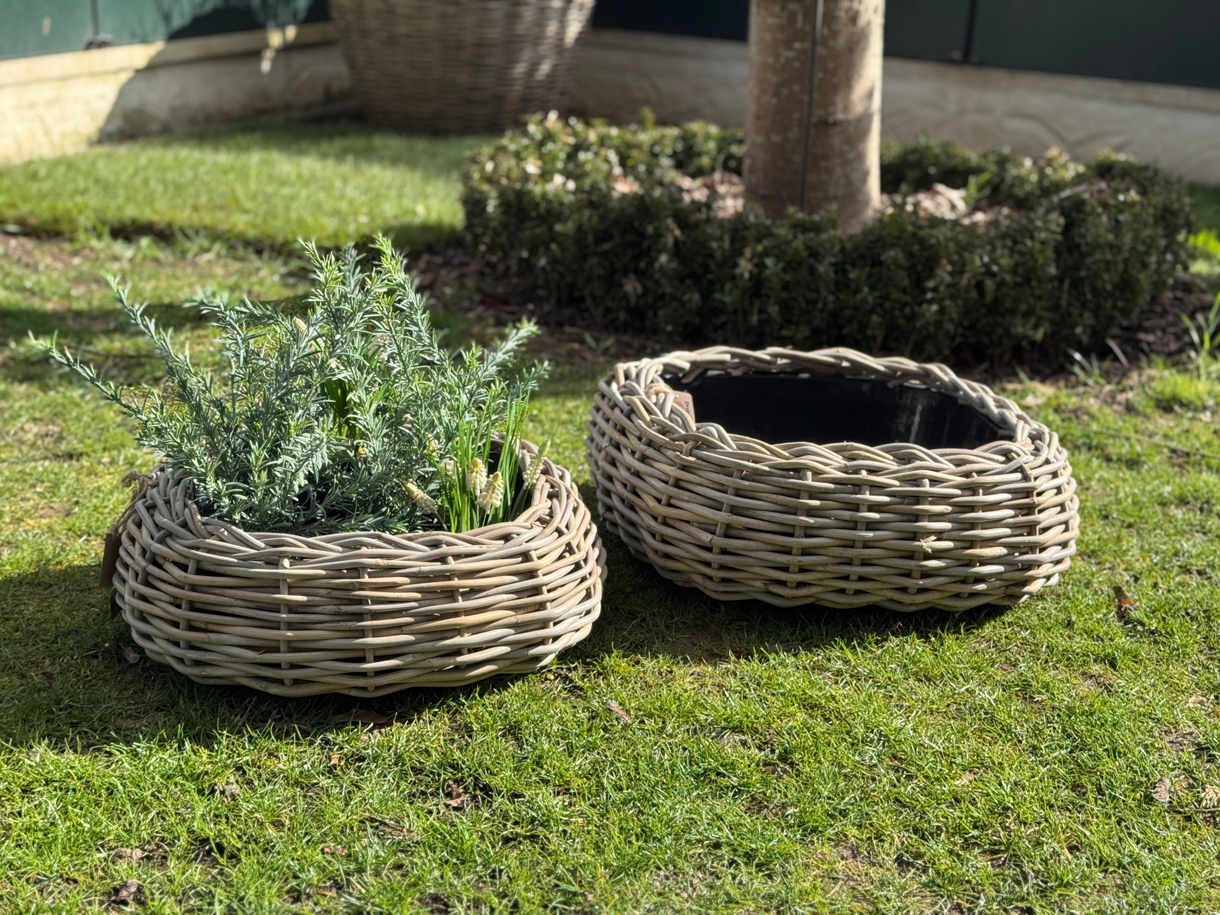 Set Schale Drypot Viereckig