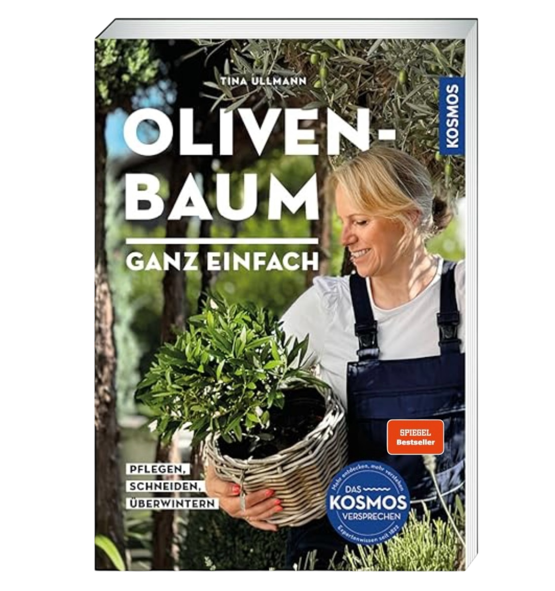 Olivenbaum - ganz einfach