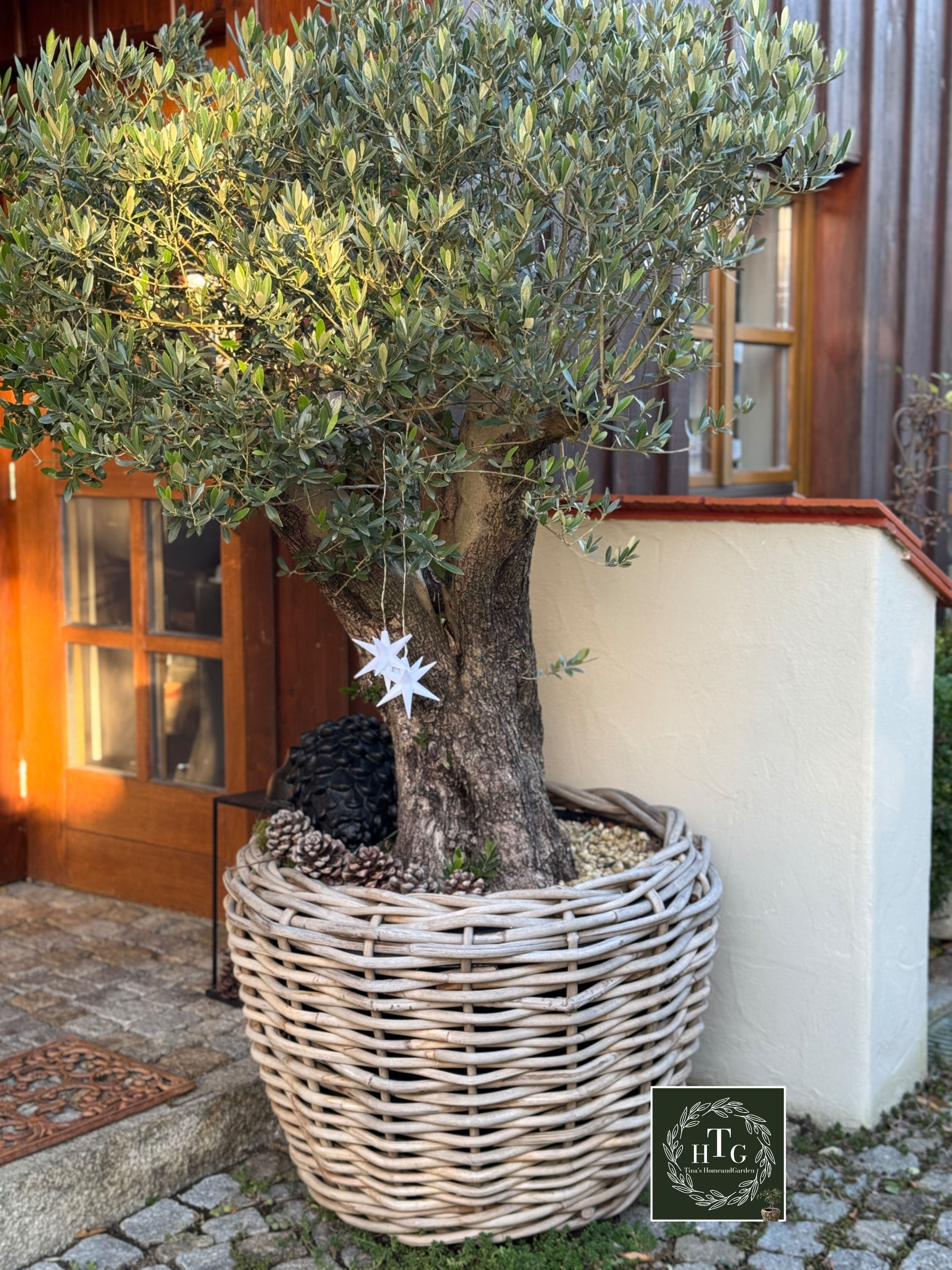 Drypot Maxi dickes Geflecht L