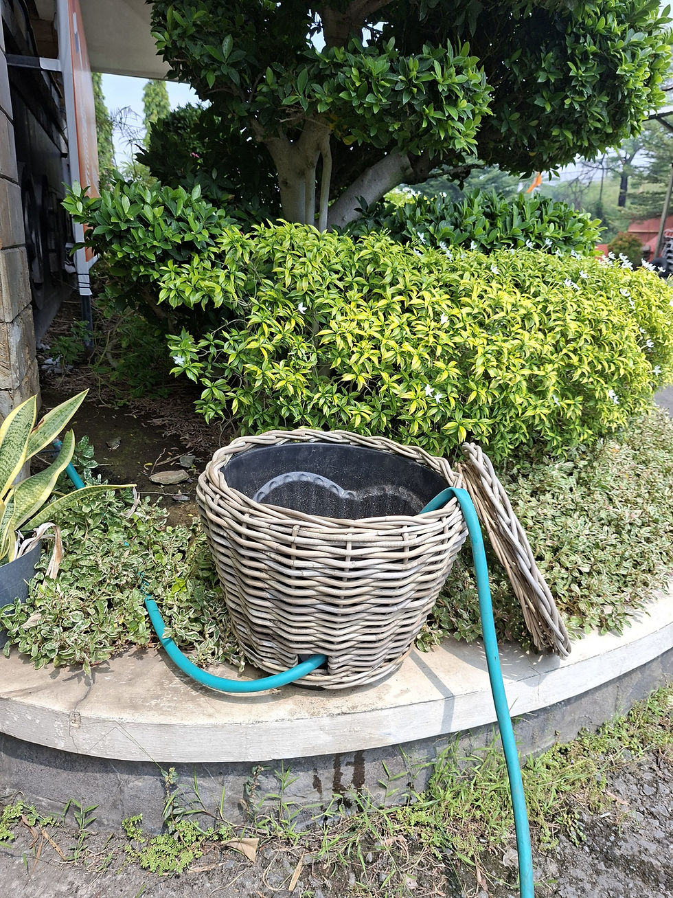Drypot Schlauchkorb
