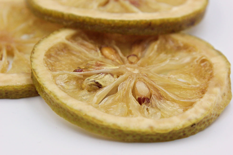 友善耕作｜都歷四季檸檬果乾