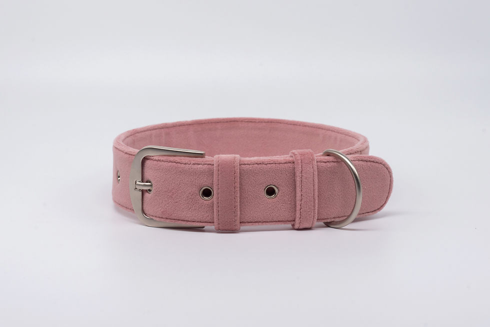 Suede Collar in Blush Pink