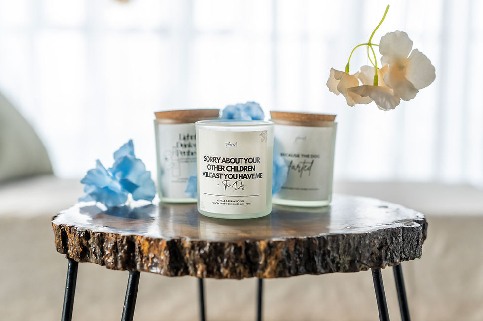 Vanilla & Frankincense | Soy Wax Candles