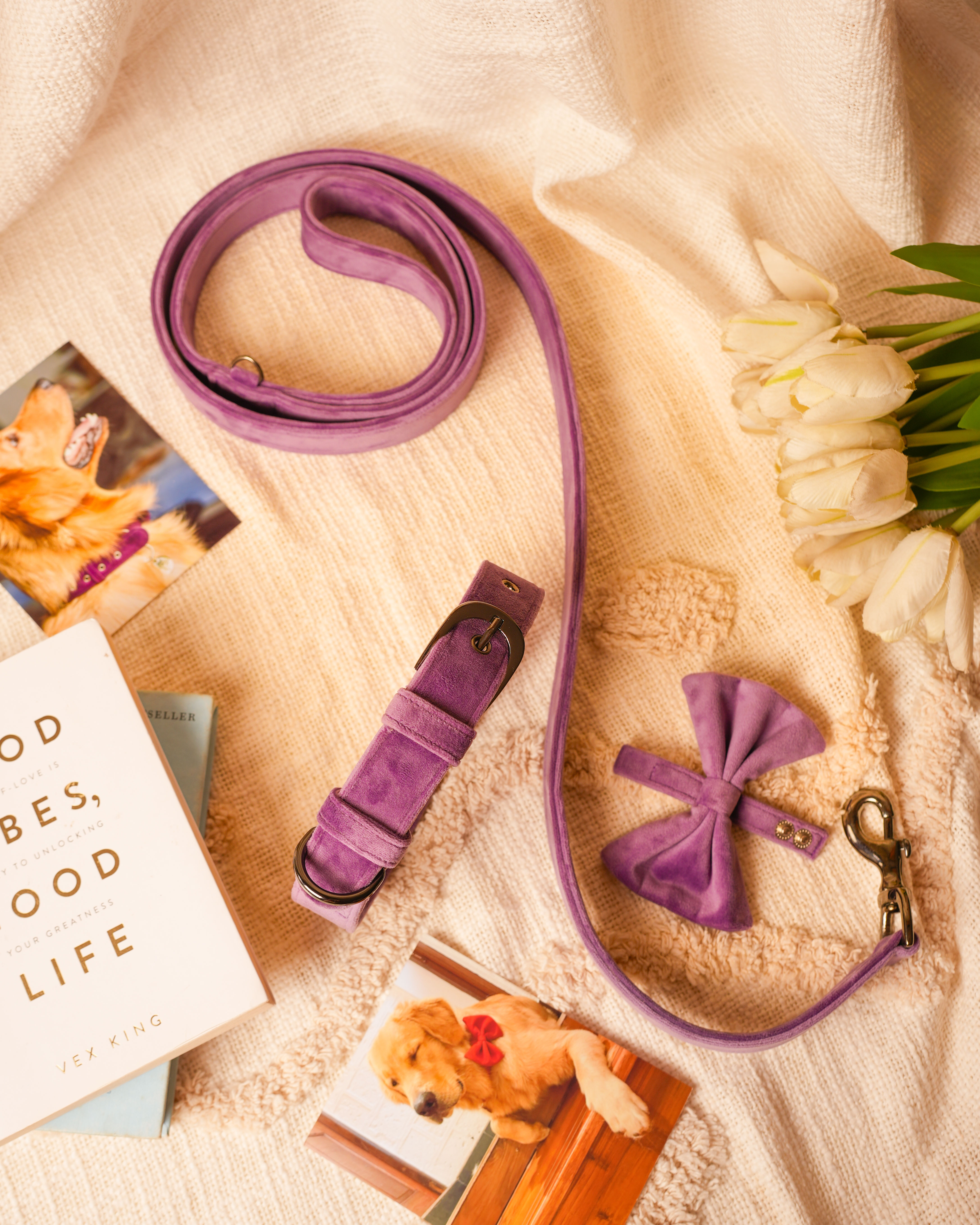 Suede Collar & Lead - Lavender