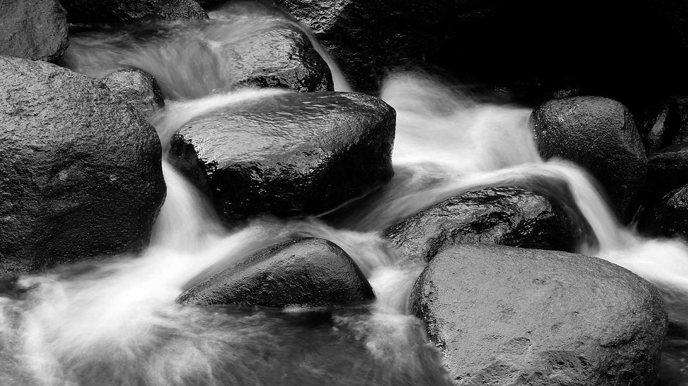 Freestone Road | Stepping Stones