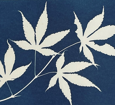 Judy Pickett - Blue and White Basics workshop.jpg