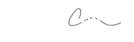 vector negro.png