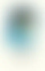 Ingrid Noll: Nachteule